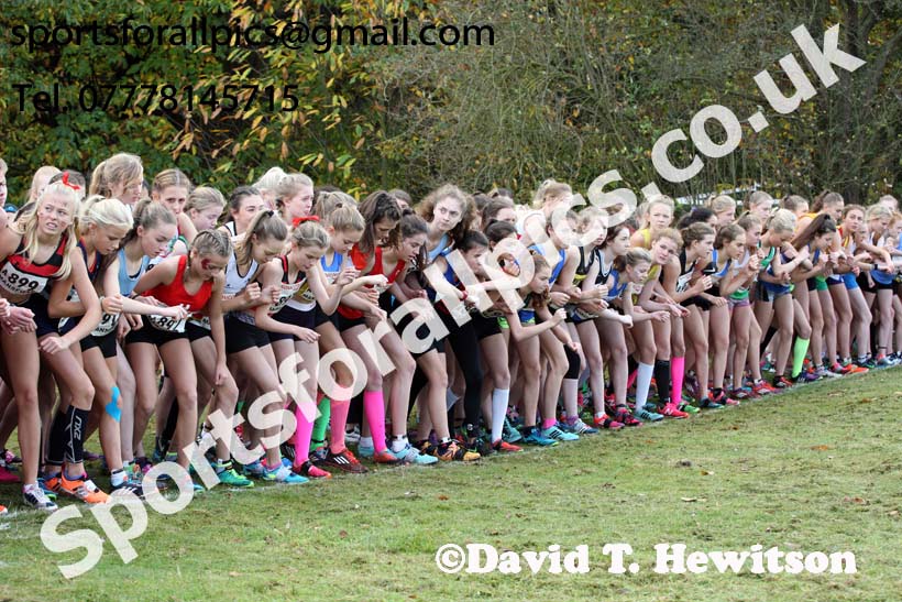 Girls under-15s National Cross Country Relay, Berry Hill Park, Mansfield. Photo:  David T. Hewitson/Sports for All Pics